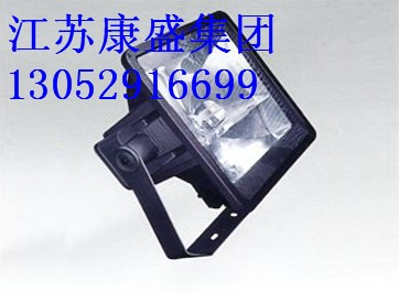 CXTG401一體化三防投光燈，CXTG401護欄燈