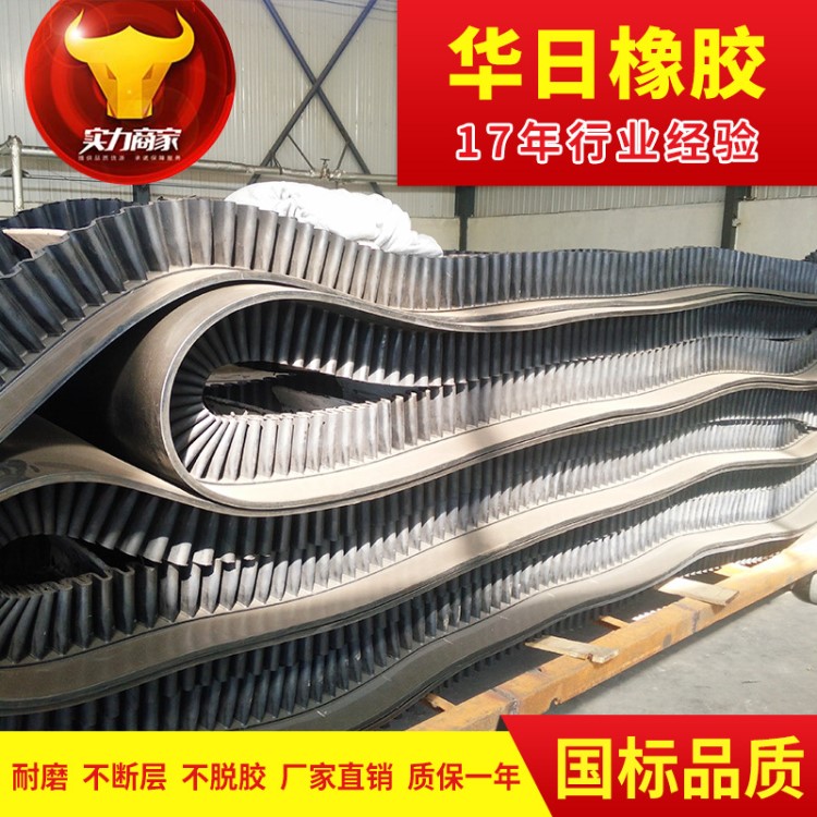 直銷大傾角波紋擋邊輸送帶耐磨各種型號650*5800*51000*5