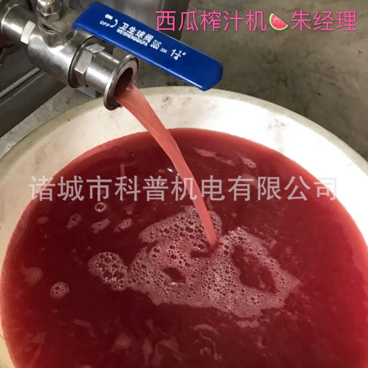 椰漿提取椰子水原汁壓榨機 冷壓冷榨鮮果汁擠壓式榨汁設(shè)備