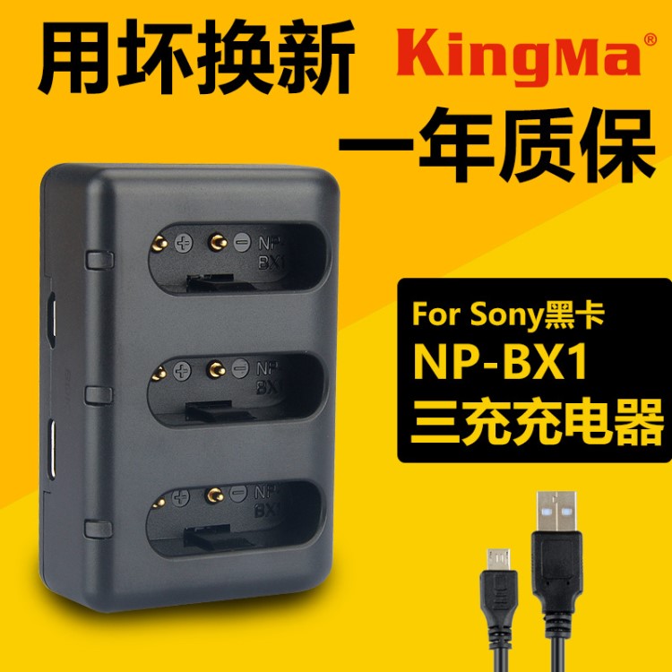 劲码NP-BX1黑卡RX100M5 M4 M3 M2 CX240E WX350 HX400电池