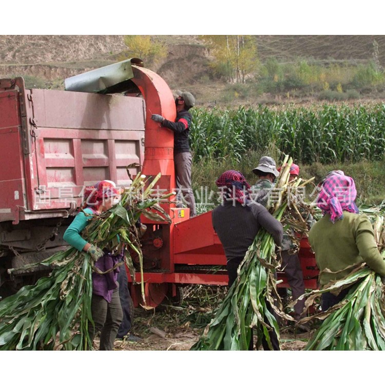 大型鍘草機 青貯切碎鍘草機 秸稈青貯收割機