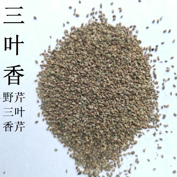 批發(fā)芽苗菜種子蔬菜種子三葉芹三葉香種子1斤裝