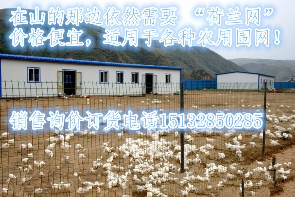 圈玉米網(wǎng)PVC涂塑荷蘭網(wǎng)浸塑荷蘭網(wǎng)荷蘭網(wǎng)護欄荷蘭網(wǎng)片波浪荷蘭網(wǎng)