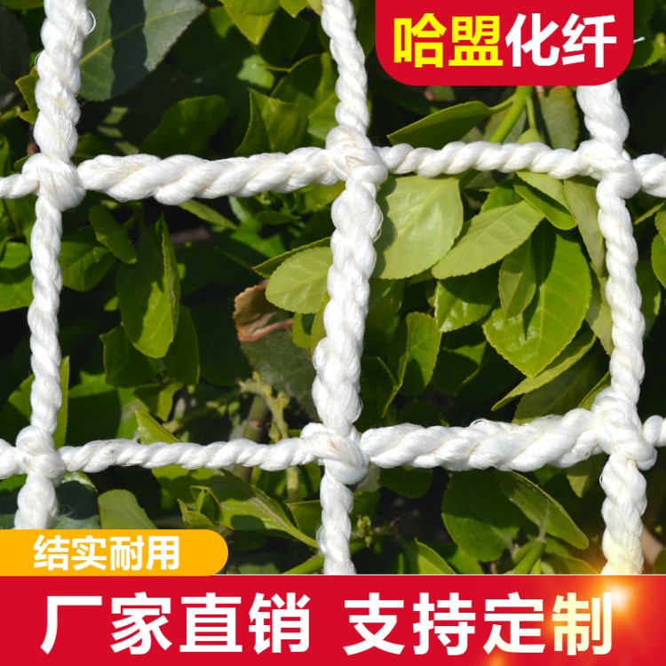 高強絲防墜網白色 施工防護網球場圍網 阻燃建筑網平網