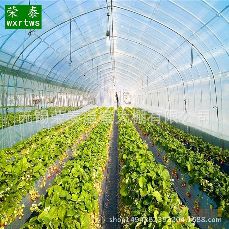 熱鍍鋅鋼管簡易溫室連棟連體大棚 薄膜連棟大棚骨架