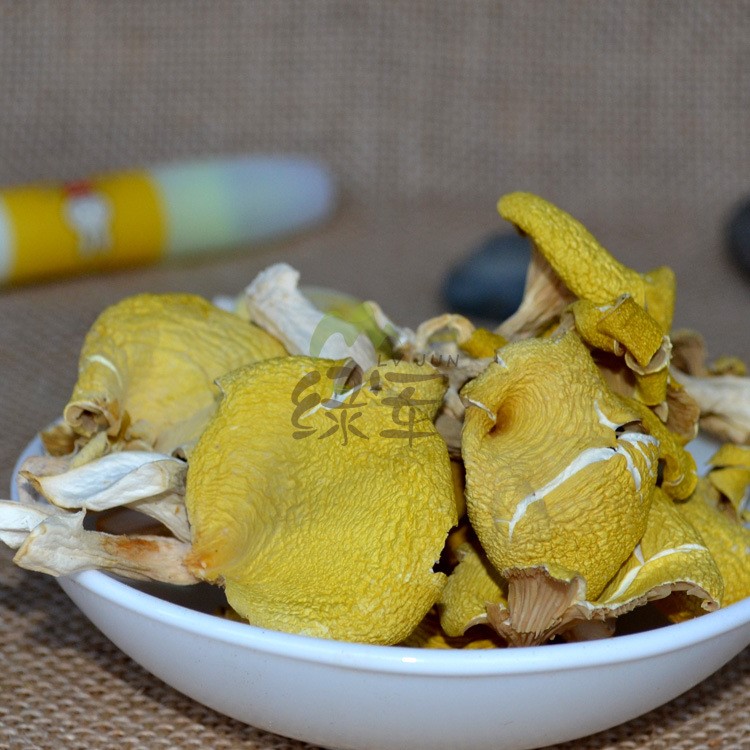 云南特產食用菌 雞油菌 人工雞油黃 榆黃菇 黃絲菌 供應酒店500克