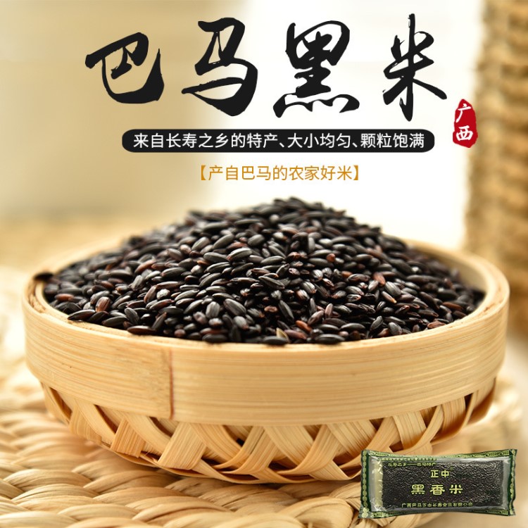 大秋 廣西巴馬特產(chǎn)正中 黑米 壽鄉(xiāng)特產(chǎn) 雜糧食品 粳米 黑香米500g