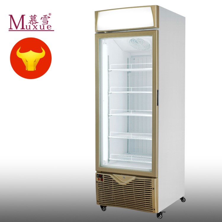 豪華單門雪糕風(fēng)冷無(wú)霜冷凍展示柜海鮮立式-23度水果冰淇淋速凍柜