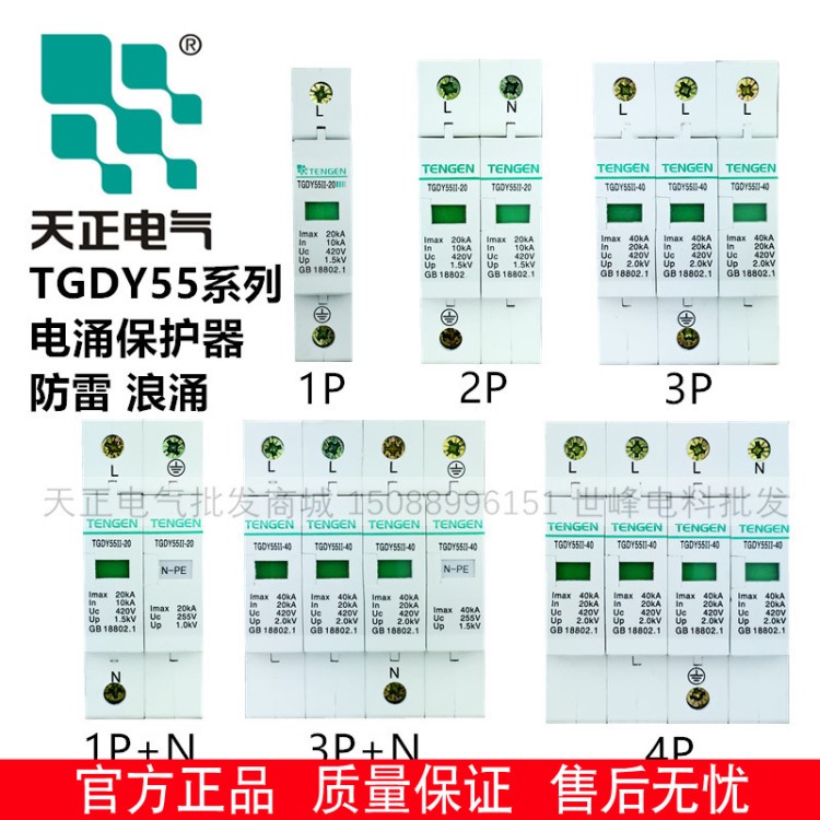 天正 TGDY55II浪涌電涌保護器防雷器1P/2P/3P+N/4P 20KA/40KA60KA