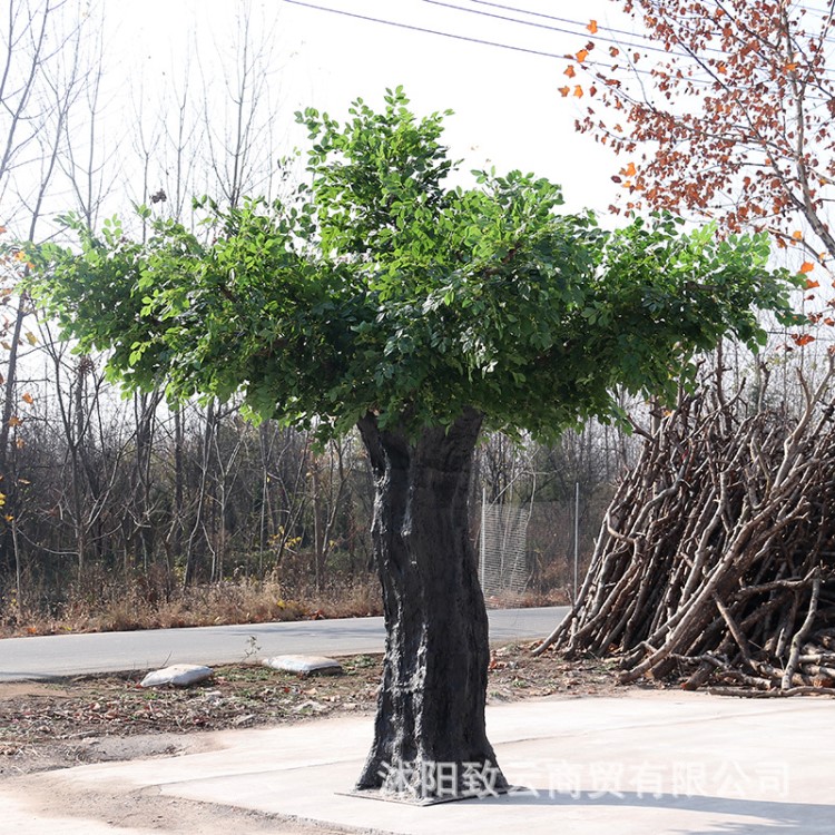 致云定制仿真桂花樹 大型人造桂花樹 酒店戶外景觀裝飾樹桂花樹