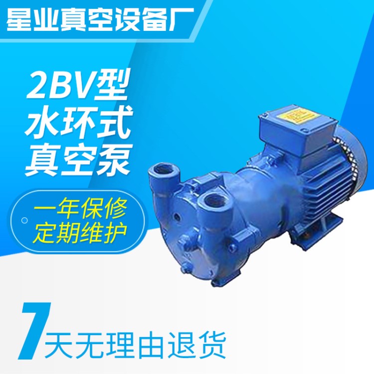 真空設備 2BV型水環式真空泵 液環式真空泵高真空度電動真空泵