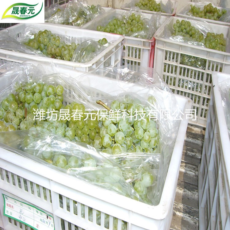 提子包裝袋冷庫葡萄用20斤殺菌補水批發(fā)物理活性氣調(diào)保鮮袋