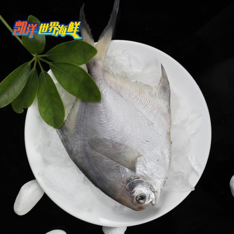 銀鯧魚800g/袋