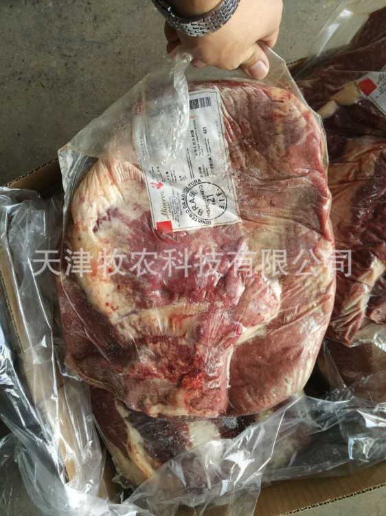 批发牛肉冷冻巴西421厂前胸巴西牛肉