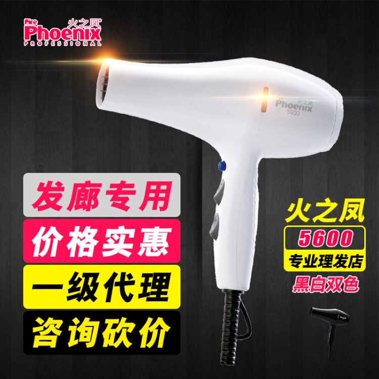 火之鳳5600發廊專用吹風機理發店大功率冷熱電吹風家用發型師