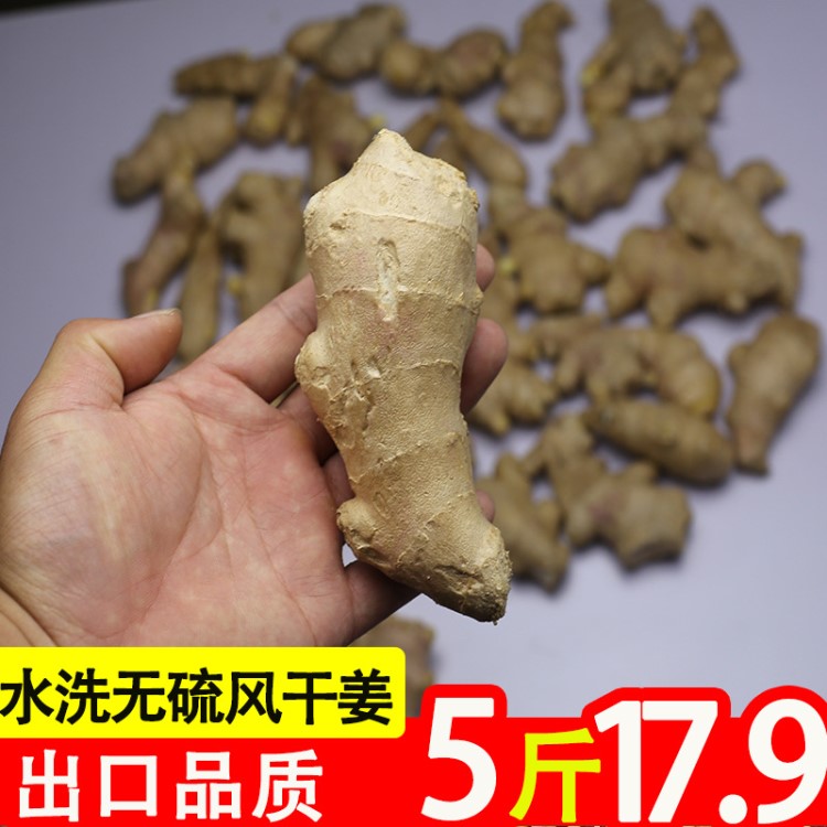 生姜老姜山東大姜 新鮮黃姜5斤新鮮 包郵大黃姜出口品質(zhì)姜塊