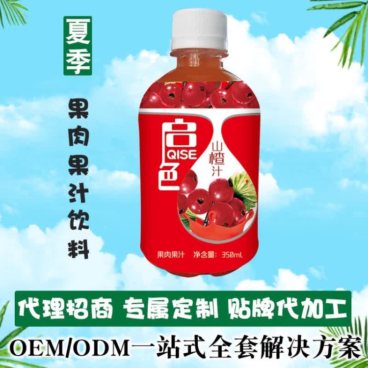 夏季果汁饮料蓝莓汁500ml*15/整箱酒水饮料厂家代理批发加工定制