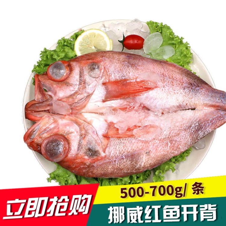 挪威紅魚開背 冷凍海鮮紅魚 調(diào)味紅魚去內(nèi)臟大紅魚挪威紅魚燒烤