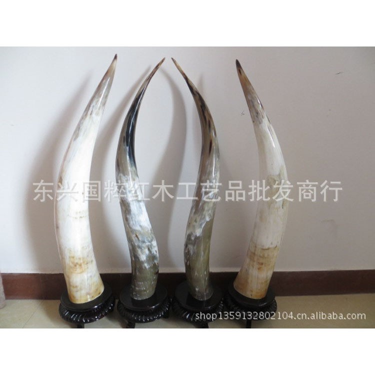 東興國(guó)粹紅木供應(yīng)非洲牛角工藝擺件 牛氣沖天擺件 牛角