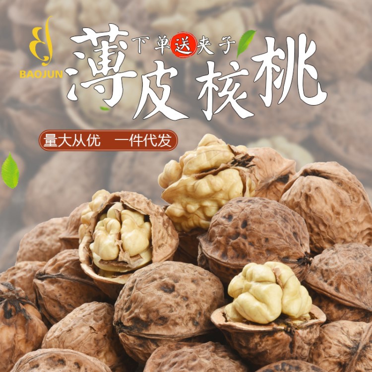 寶鈞貴州土特產(chǎn)赫章產(chǎn)地老樹核桃 薄皮干核桃山核桃直銷