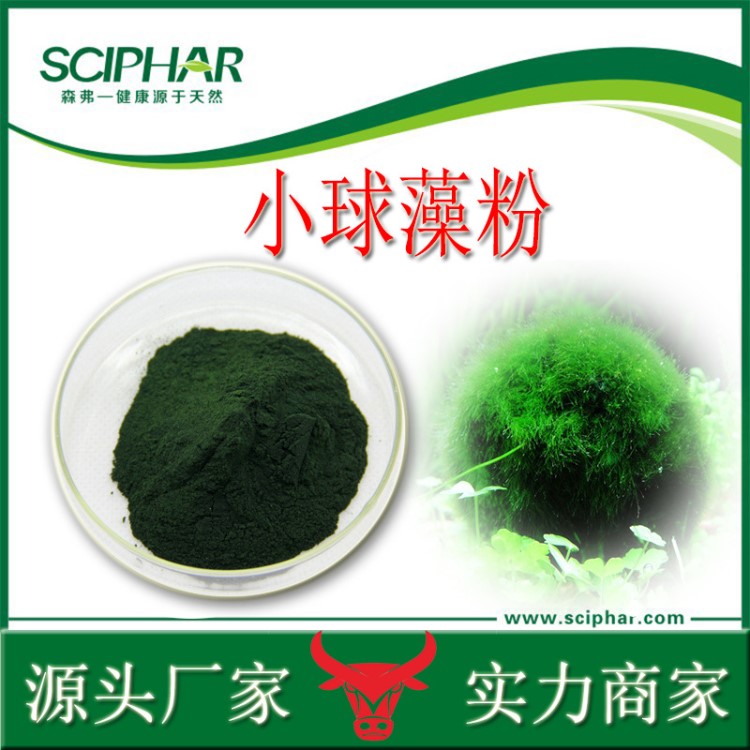 破壁小球藻粉 新資源食品原料 森弗實力廠家供應綠藻小球藻粉