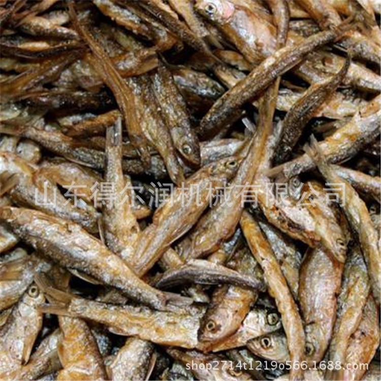 不沾網帶油炸毛毛魚設備 炸小黃花裹粉加工機械 魚類過油生產機器