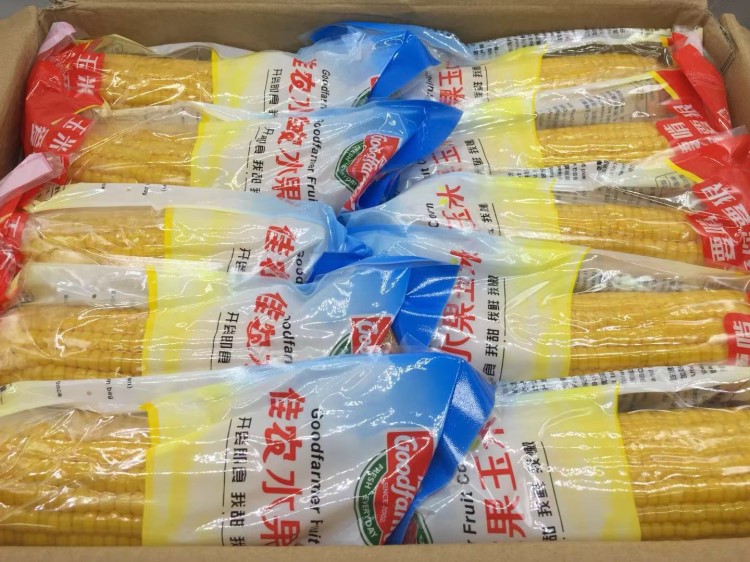 佳農水果熟玉米水果甜玉米江南水果市場直發單果220g支持代發批發
