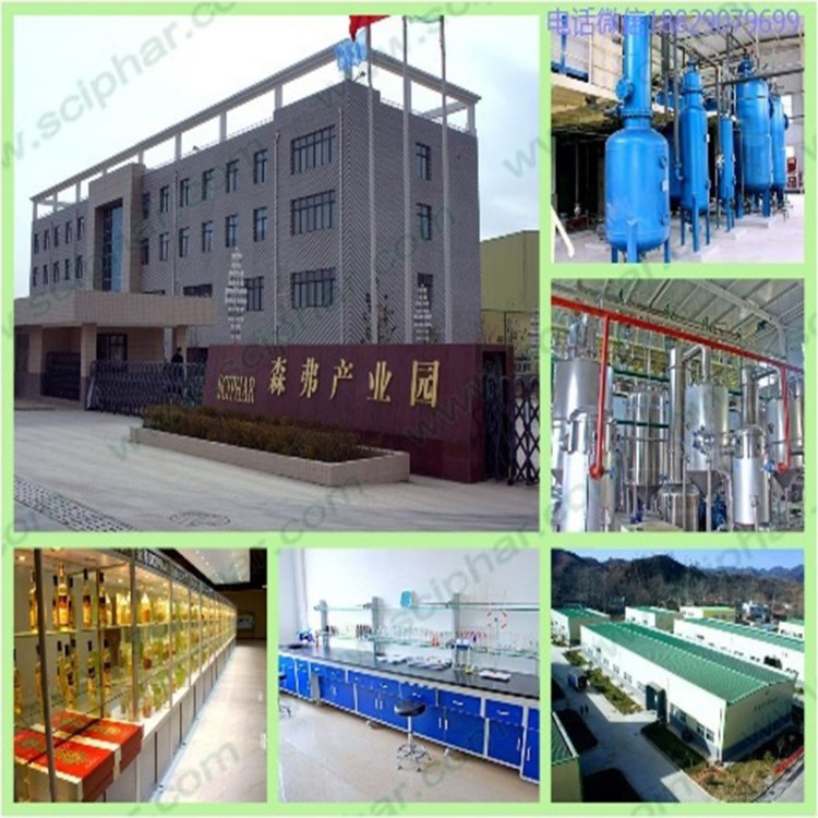 紫蘇油 紫蘇籽 源頭工廠森弗實(shí)力商家現(xiàn)貨供應(yīng)&alpha;-亞麻酸 紫蘇籽油