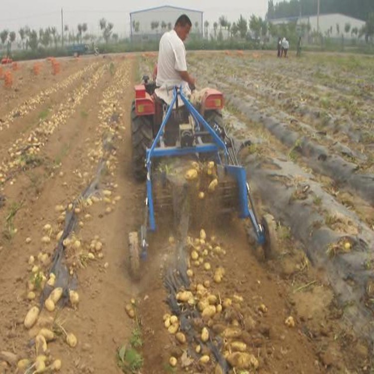 拖拉機三點懸掛式單壟土豆收獲機紅薯收獲機洋芋收獲機地瓜收獲機