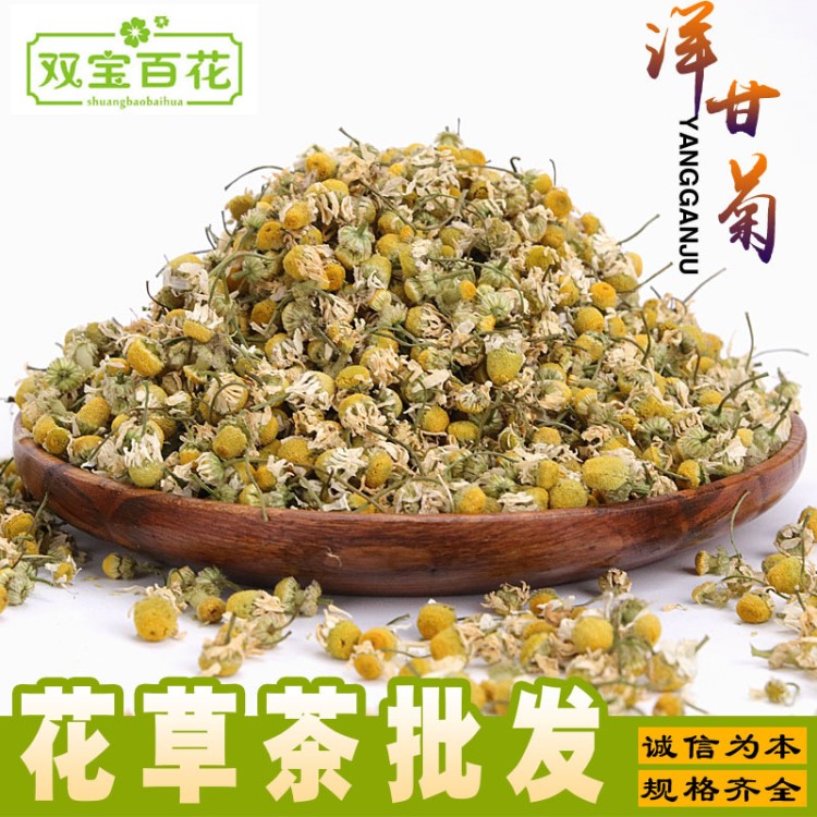 2019新貨花草茶批發(fā)洋甘菊 洋甘菊花茶 散裝批發(fā)供應(yīng)洋甘菊花茶