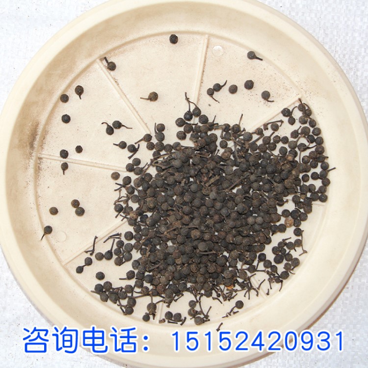 畢橙茄種子 又名木姜子 藥材種子 果樹種子的畢橙茄