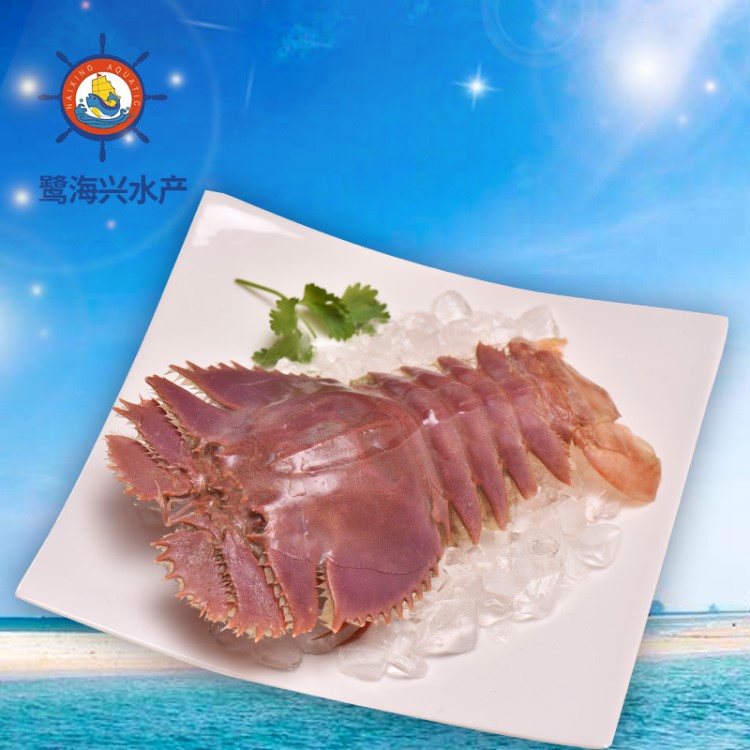 野生冷冻海鲜虾姑排新鲜琵琶虾活熟冻虾姑皮皮虾濑尿虾食材