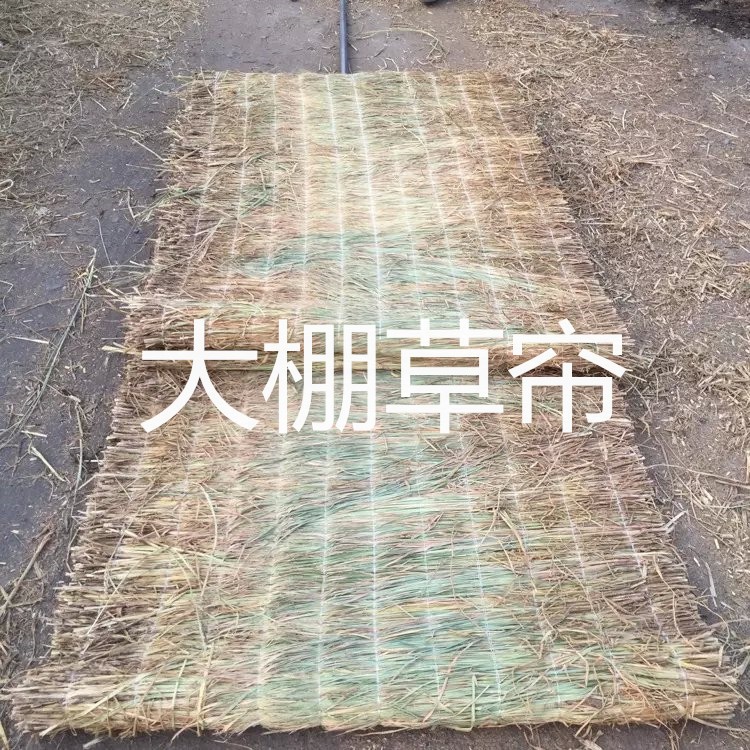 直銷草墊子 草苫子 大棚保溫防寒草簾 冬季覆蓋鋪路草簾 草氈子