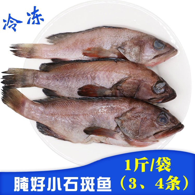 冷凍腌制小石斑魚500g 3-4條/袋 冷凍海鮮水產(chǎn)品石斑魚1斤現(xiàn)貨