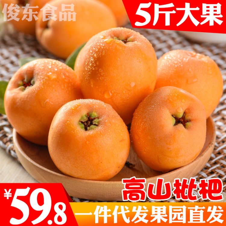 5斤大果 高山枇杷四川米易枇杷云南蒙自枇杷一件批發(fā)果園新鮮水果