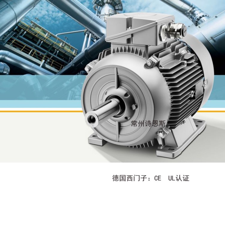 德國西門子電機 1LE1001 7.5KW 4P 400V 50HZ 原裝馬達