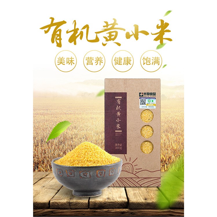 豐原食品 有機(jī)黃小米300克真空裝有機(jī)雜糧特產(chǎn)黃小米廠家直銷批發(fā)