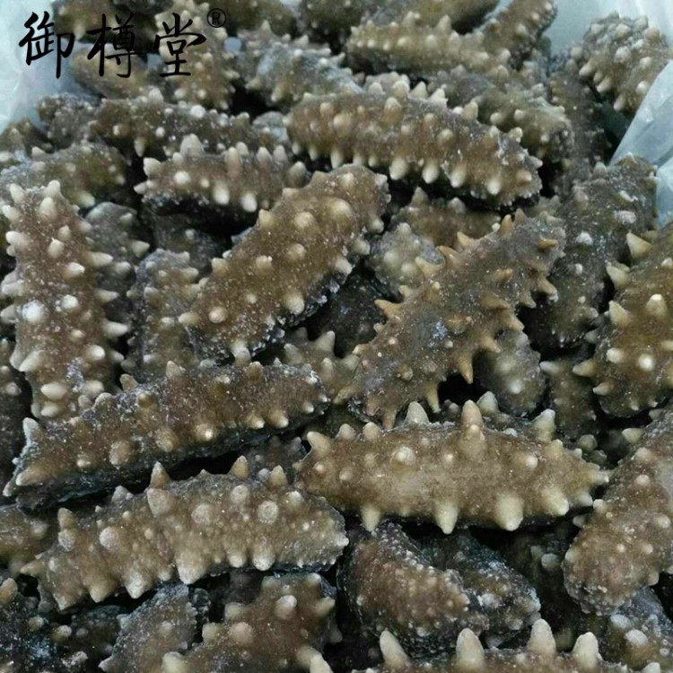 霞浦御樽堂即食海參批發(fā) 野生速凍海參黑刺參500g散裝 廠家直銷