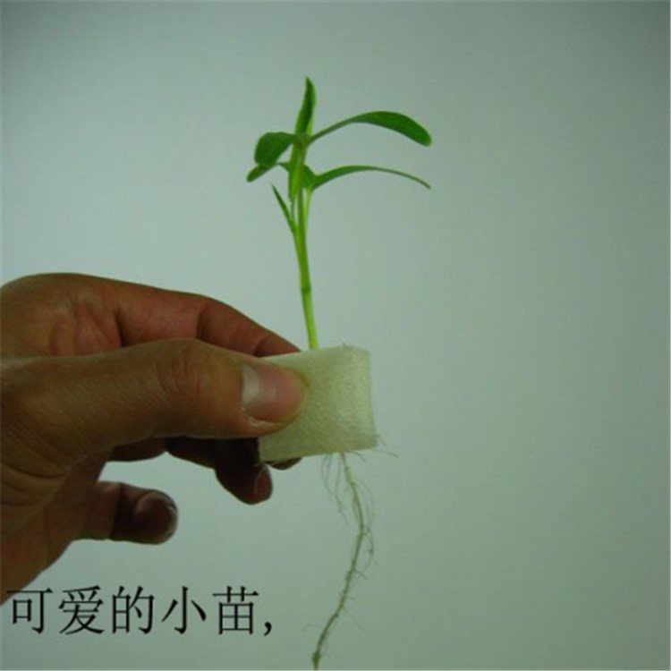 無(wú)公害蔬菜無(wú)土立體種植基質(zhì)育苗海綿