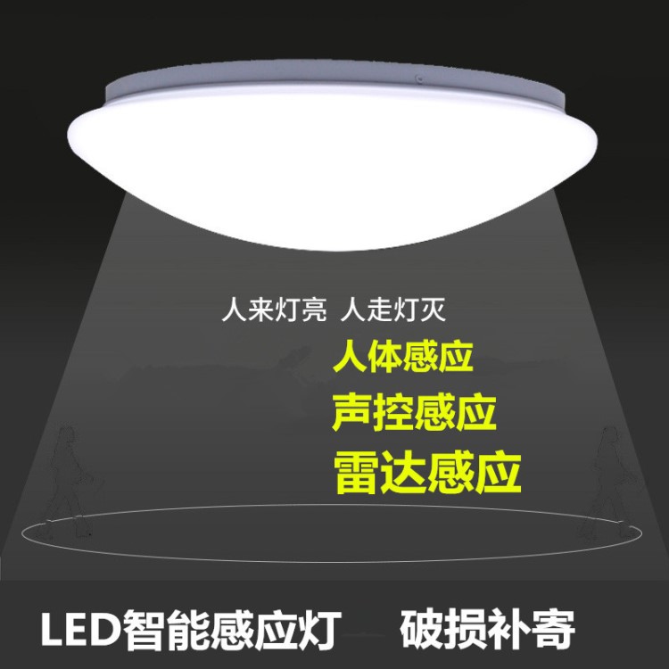 led声控吸顶灯楼道家用人体智能感应灯卧室户外雷达工程走廊灯具