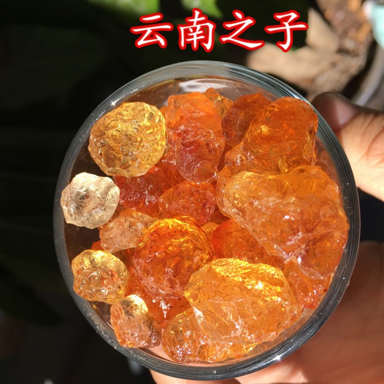 手工無雜質特級桃膠批發(fā) 中顆粒水晶桃膠 產地批發(fā)桃花淚桃樹膠