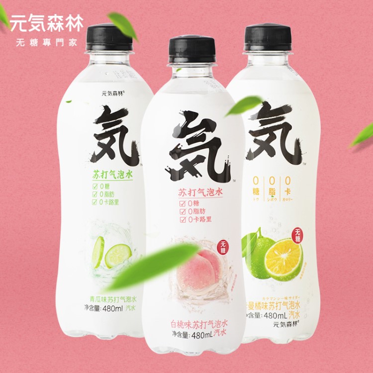 網(wǎng)紅元?dú)馍譄o(wú)糖0脂白桃曼橘青瓜蘇打氣泡水飲料480ml*15瓶批發(fā)