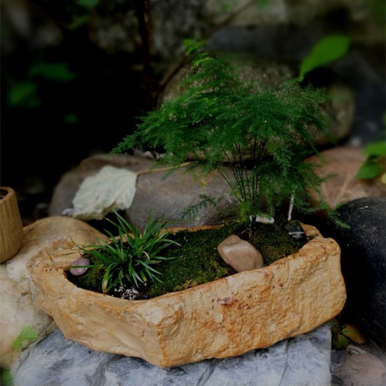 盆景花盆 水仙銅錢草菖蒲花盆無孔 水培植物粗陶陶瓷多肉仿石頭盆