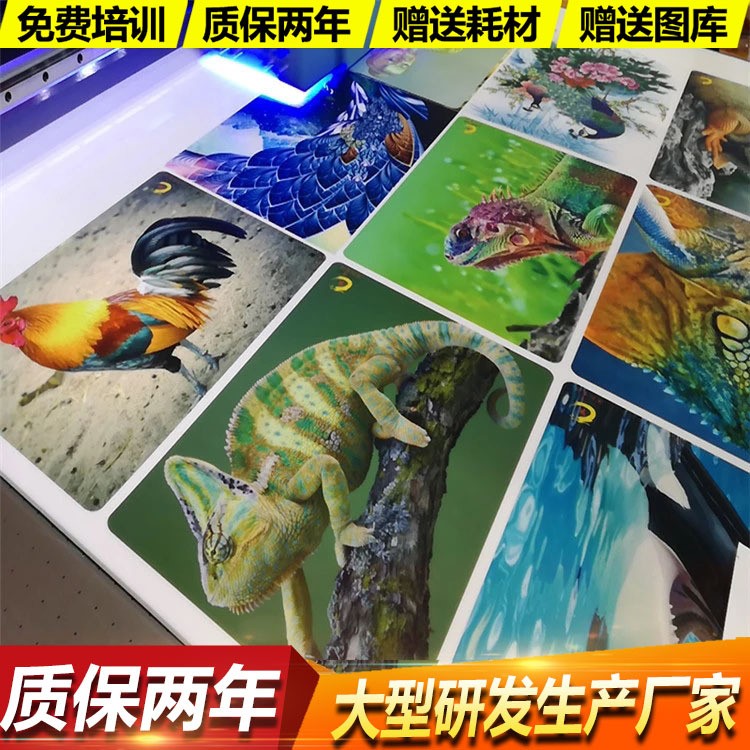 全彩同時(shí)印花的UV平板打印機(jī)設(shè)備 代替絲印轉(zhuǎn)印的數(shù)碼印花機(jī)廠家