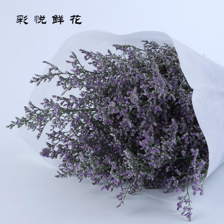 [情人草]云南基地情人草居家室內外裝飾插花配花鮮切跳舞草