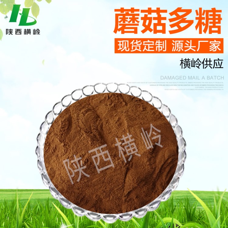 蘑菇提取物 50%含量蘑菇多糖 廠家供應 雙孢蘑菇萃取 蘑菇多糖粉