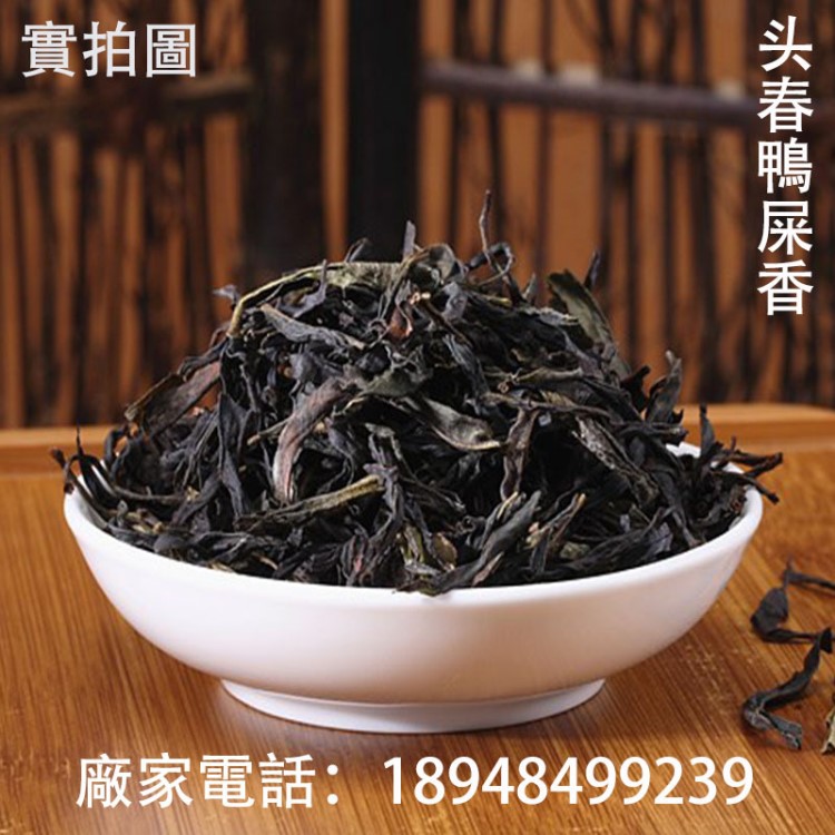 2019浓香凤凰单枞 头春鸭屎茶叶 凤凰单从茶鸭屎香茶场定制批发茶