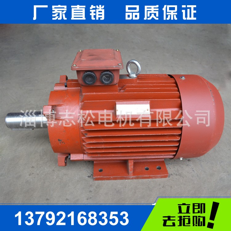 生產(chǎn)定做三相異步電動(dòng)機(jī) 2BV型真空泵電機(jī) 微型電機(jī) 電動(dòng)機(jī)