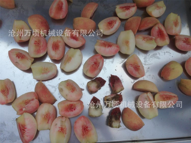 太平紅杏離核機(jī)2017新型