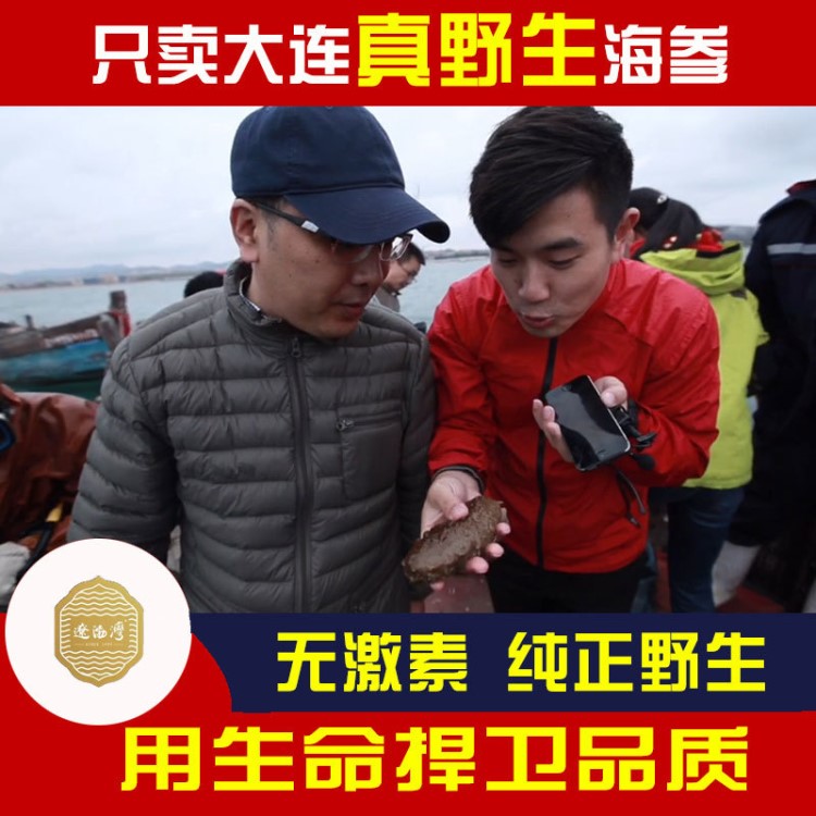 辽渤湾 即食海参批发 大连刺参 厂家直供一件代发500g礼盒